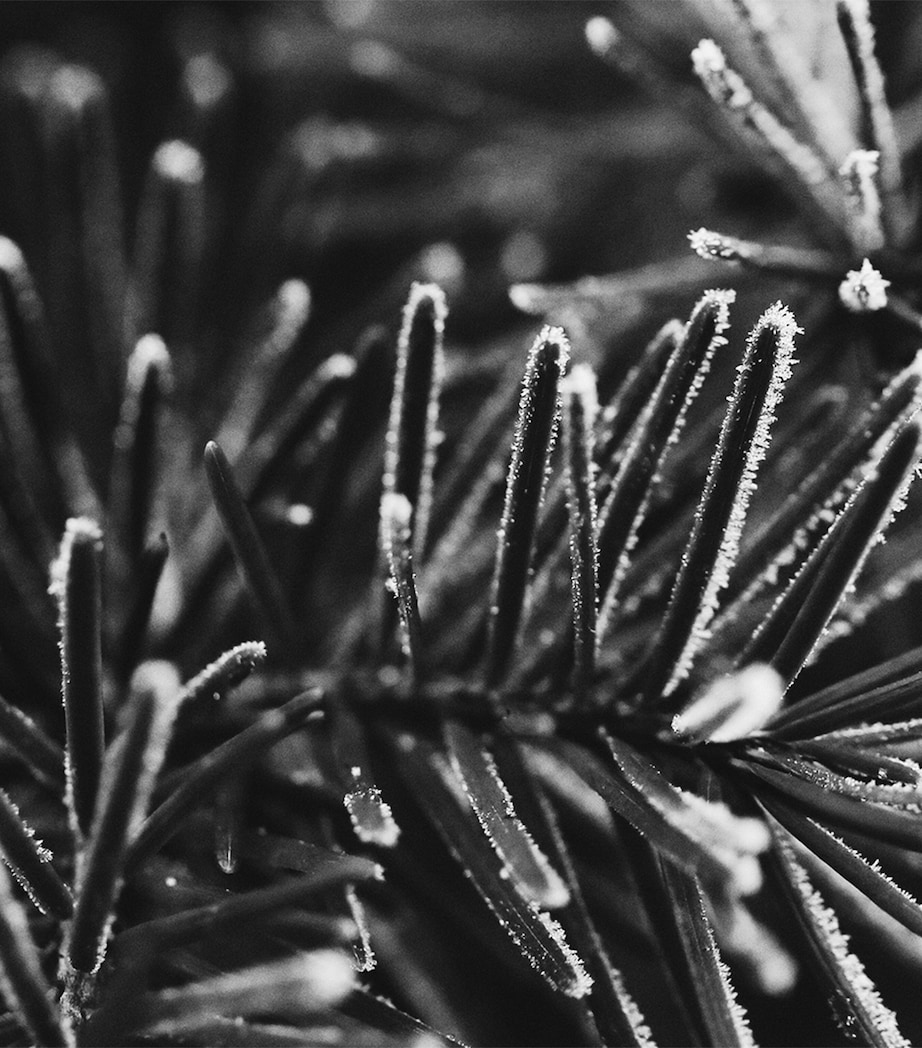 Moncler Pour Homme Eau de Parfum Refill (150ml) NO COLOUR Image 2