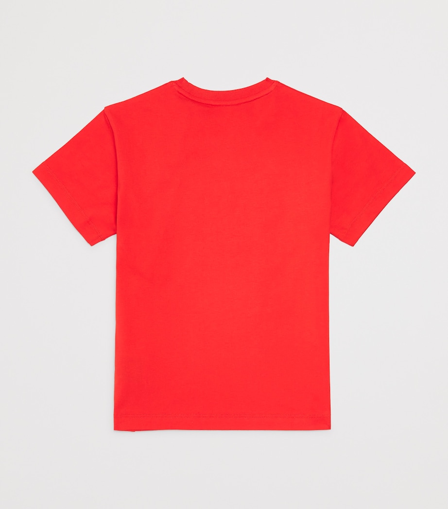 Cotton Big Bookish T-Shirt (4-12+ Years) HIGHT RISK RED Image 2
