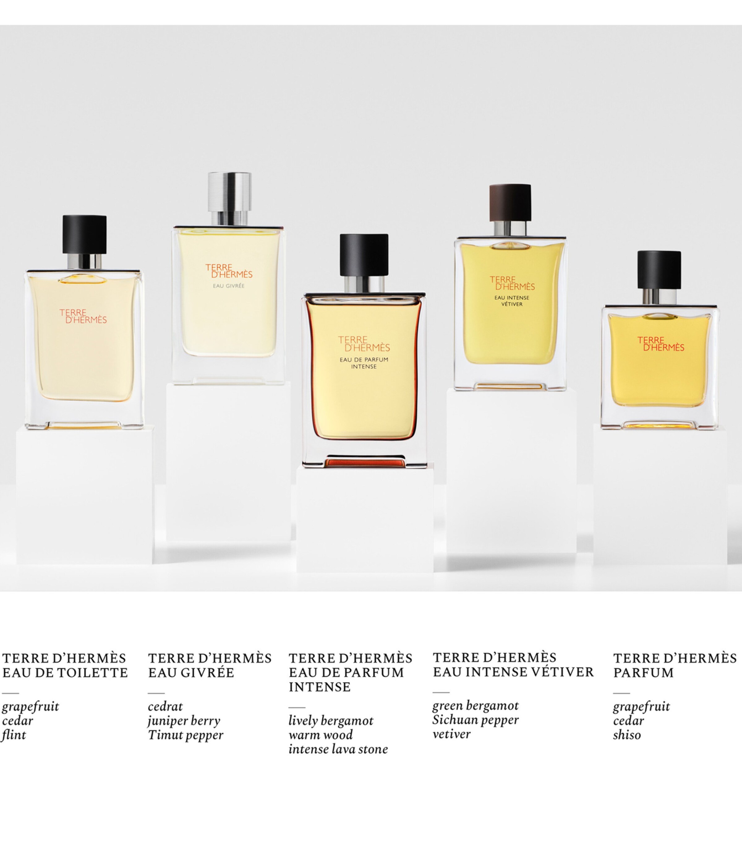 Terre D'Hermès Eau Intense Vétiver Eau de Parfum (50Ml) NO COLOUR Image 6