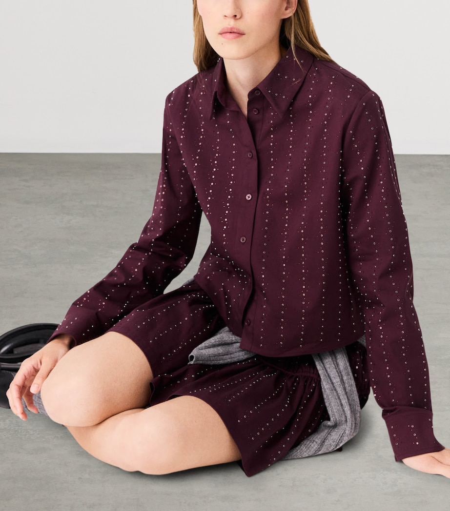 Maje Womens Embellished Stripe Shirt Burgundy Image 6