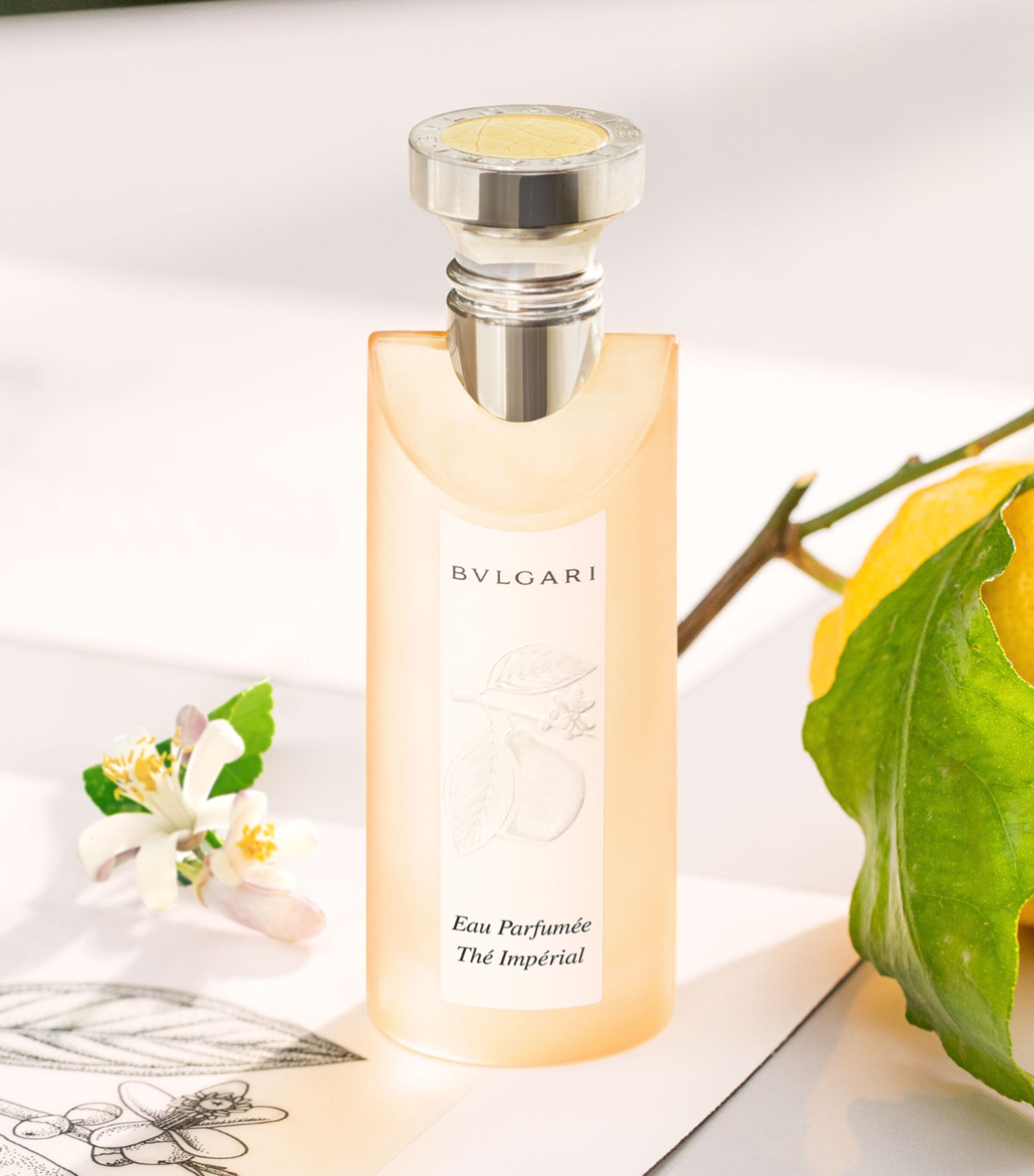 Bvlgari Eau Parfumée Thé Impérial Eau de Toilette (75ml) Image 6