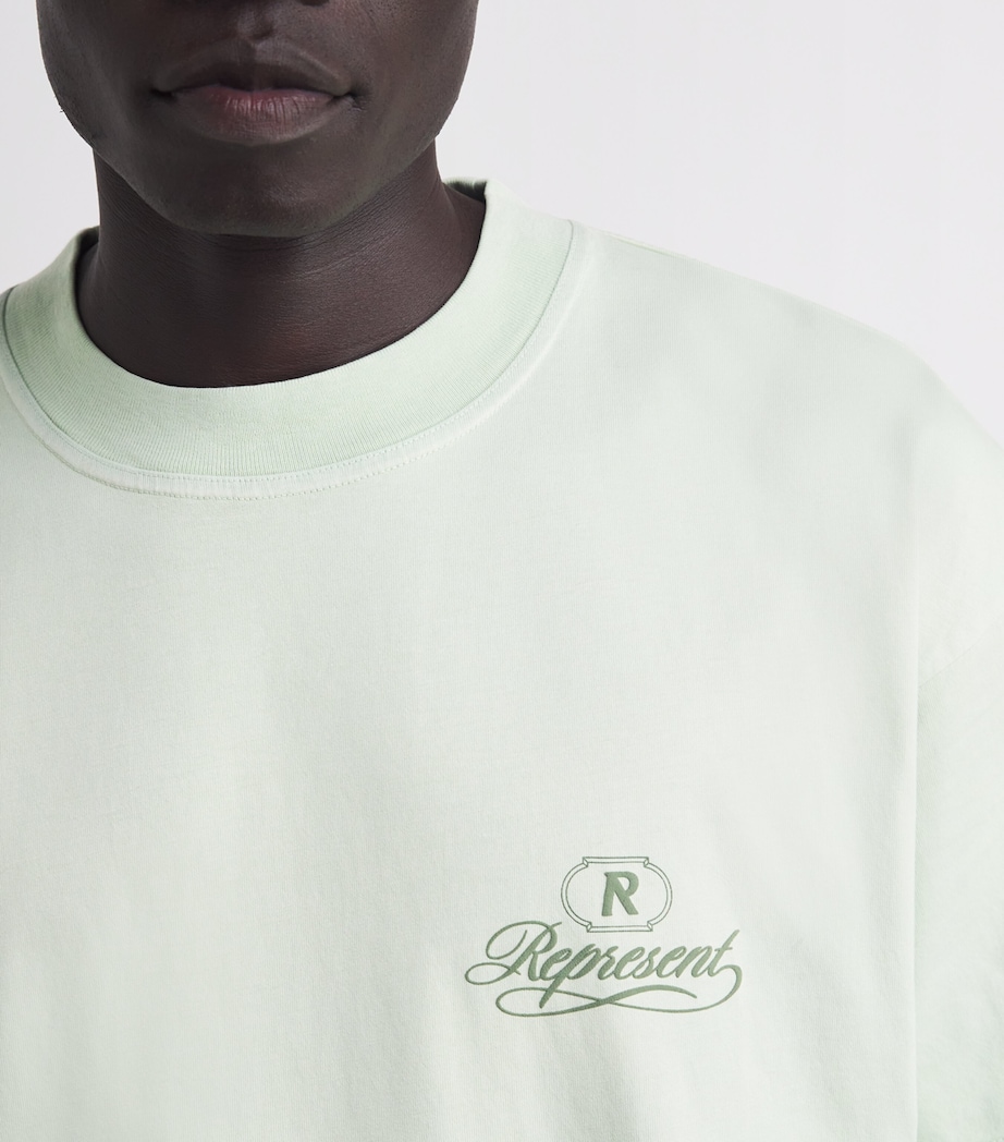 Cotton Grand Vintage T-Shirt WASHED SAGE Image 6