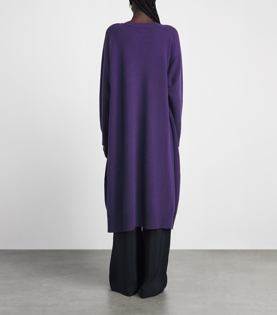 Eskandar Womens Cashmere A-Line Sweater Dress Tincture Image 4