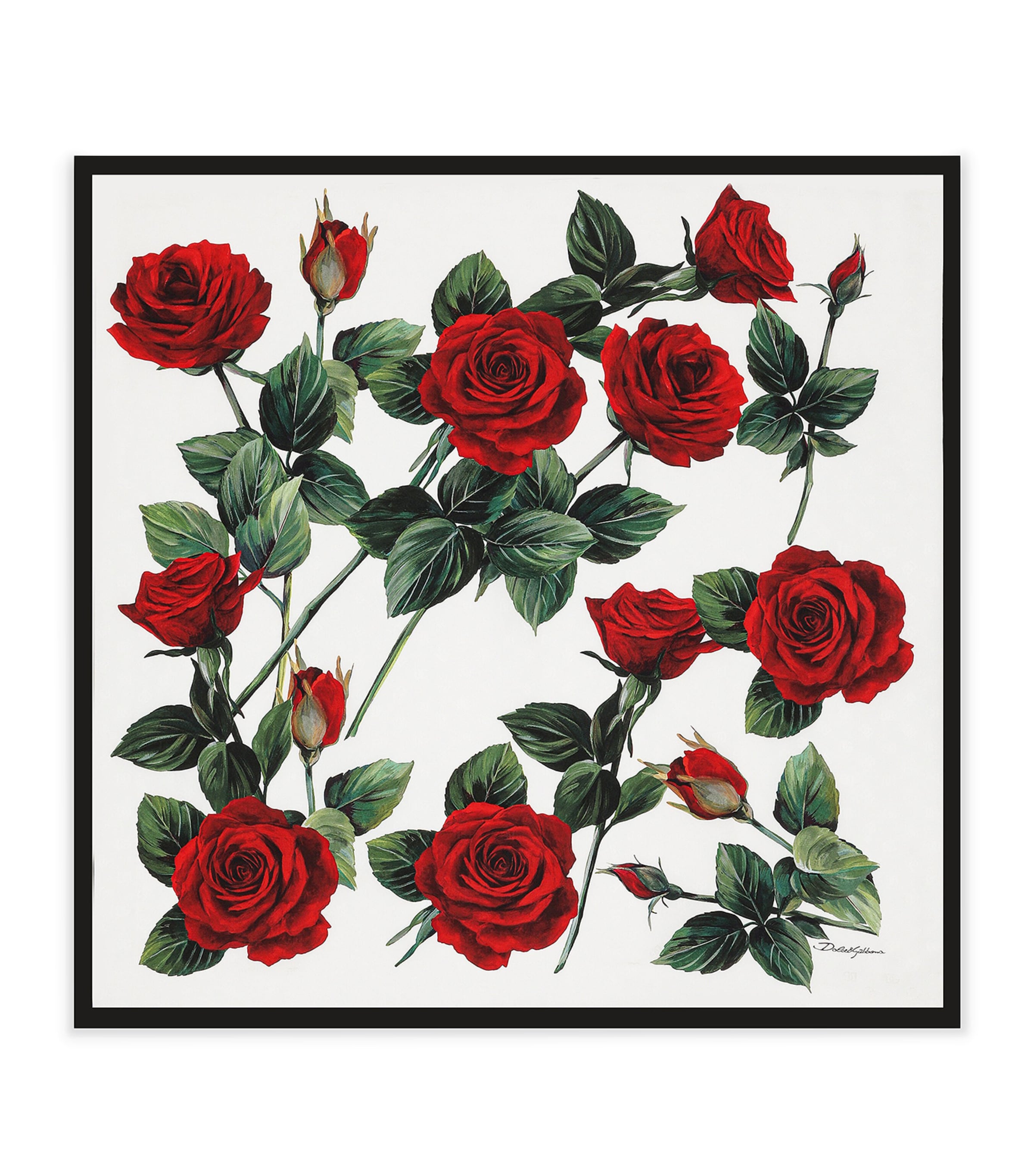 Shop Dolce & Gabbana Silk Rose Dg Scarf