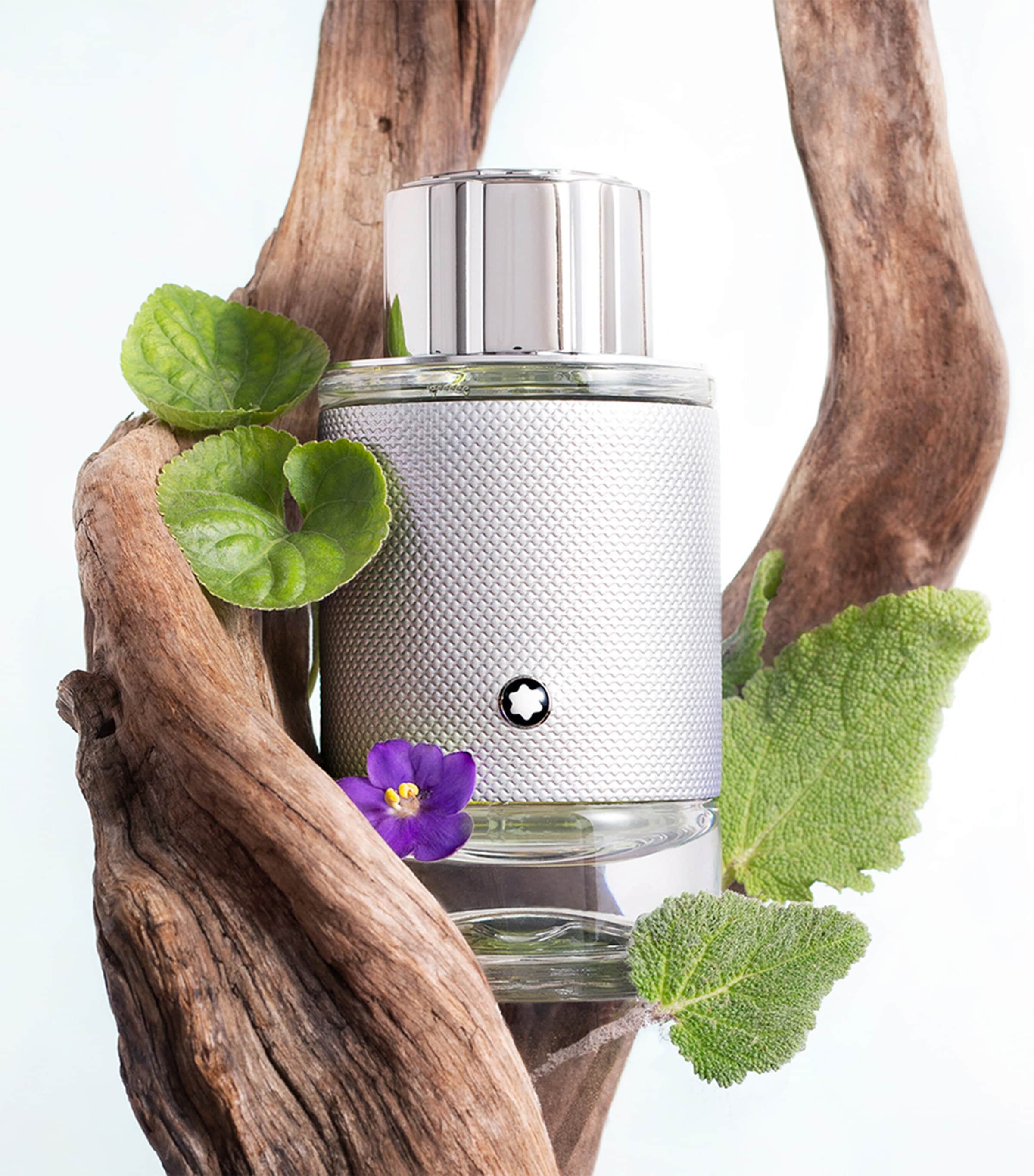 Explorer Platinum Eau de Parfum (100ml) NO COLOUR Image 3