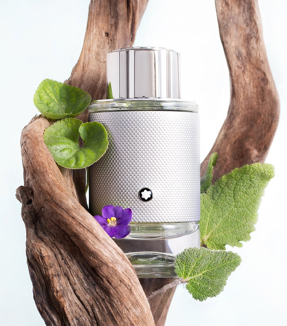 Explorer Platinum Eau de Parfum (100ml) NO COLOUR Image 3