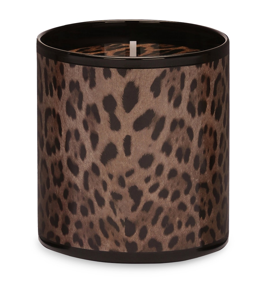 Dolce&Gabbana Casa Leopardo Patchouli Candle (380g) Patchouli Image 2
