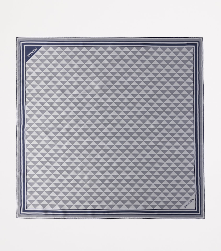 Silk Triangle Scarf F0HDT Image 3