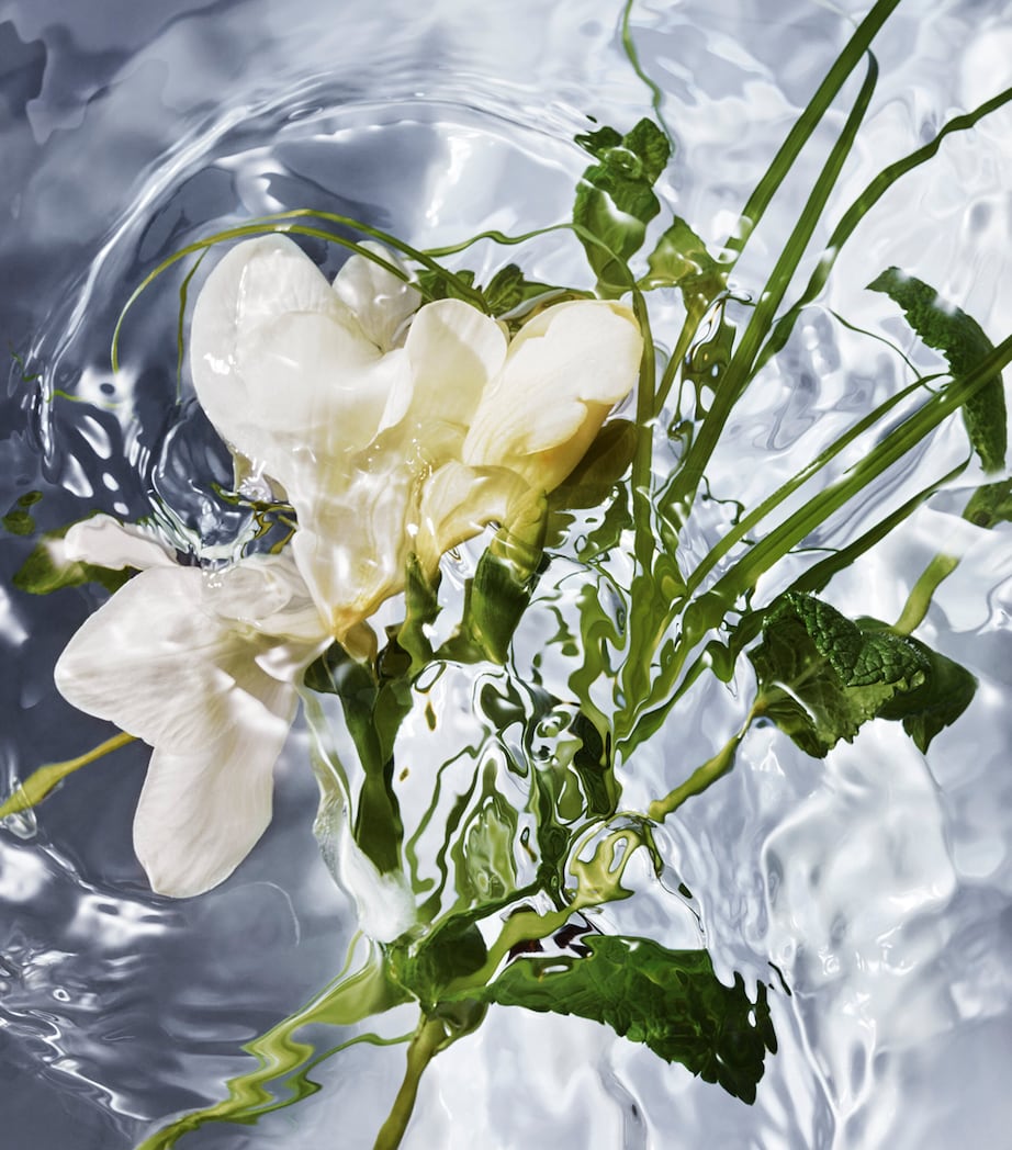 Aqua Allegoria Herba Fresca Eau de Toilette (125ml) NO COLOUR Image 5