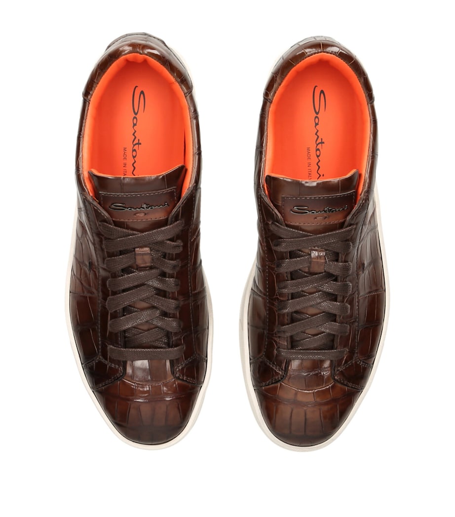 Crocodile Leather Gloria Sneakers DARK BROWN Image 4