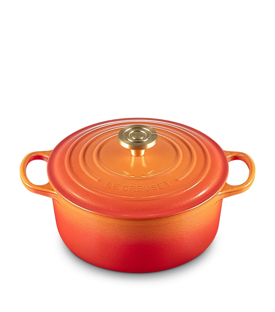 Cast Iron Flamme Dorée Round Casserole Dish (24cm) ORANGE Image 1