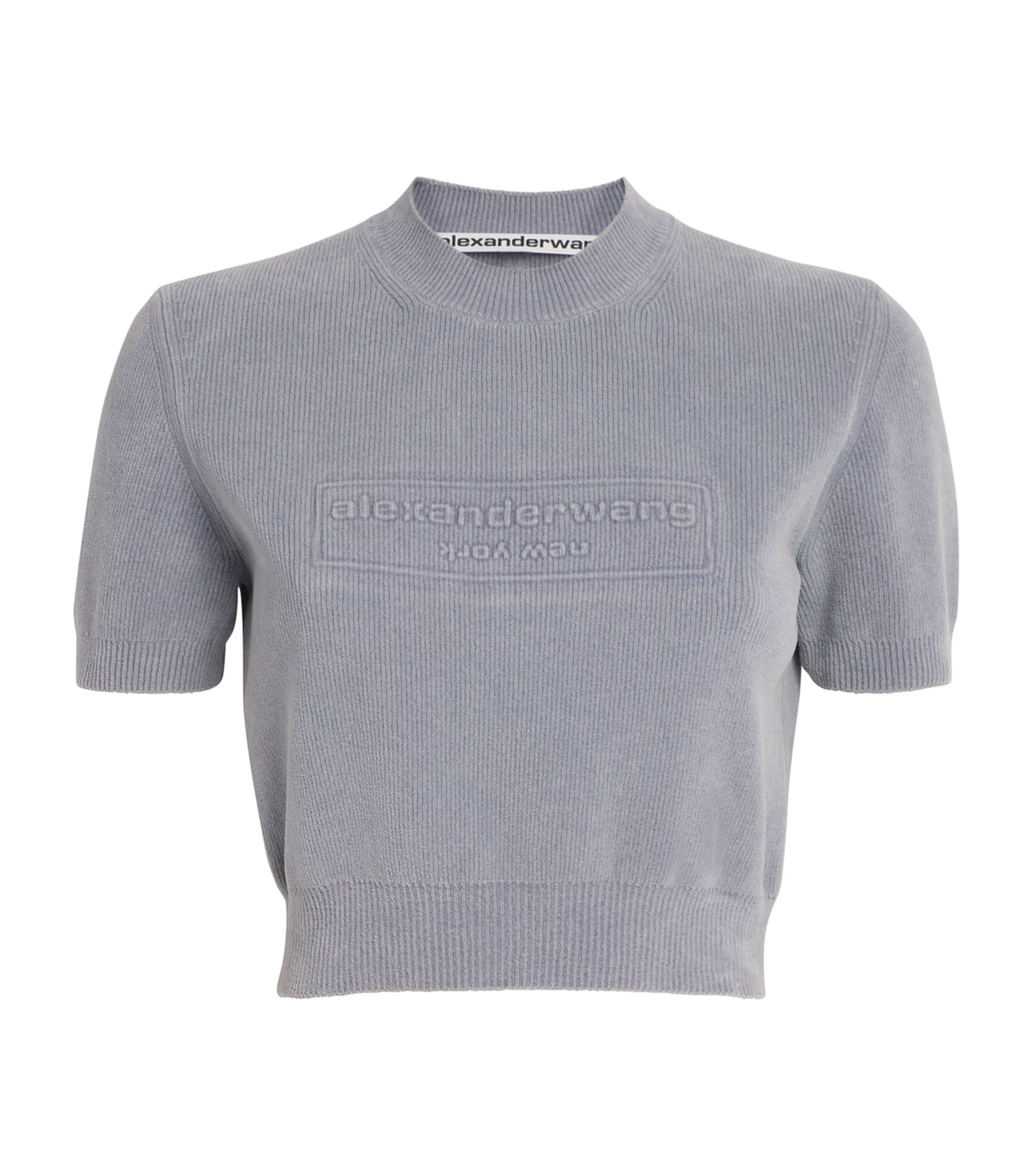 Alexander Wang Cotton-blend Chenille Logo T-shirt In Gray