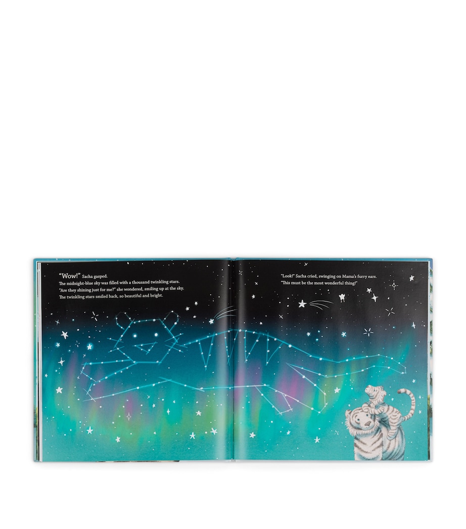 Sacha and the Most Wonderful Thing Book MULTI Image 3