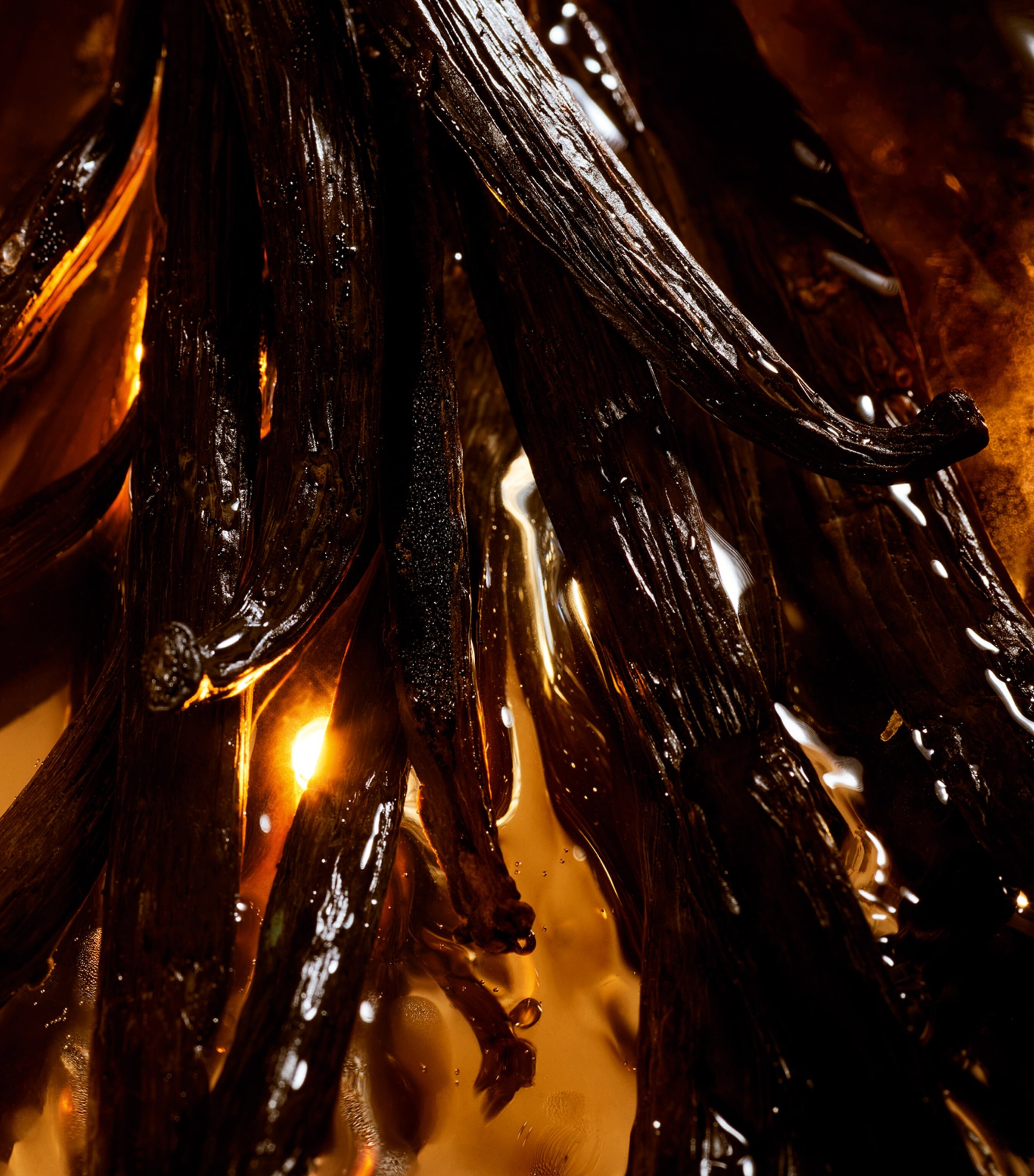 Shalimar L'Essence Eau de Parfum Intense (50ml) NO COLOUR Image 2