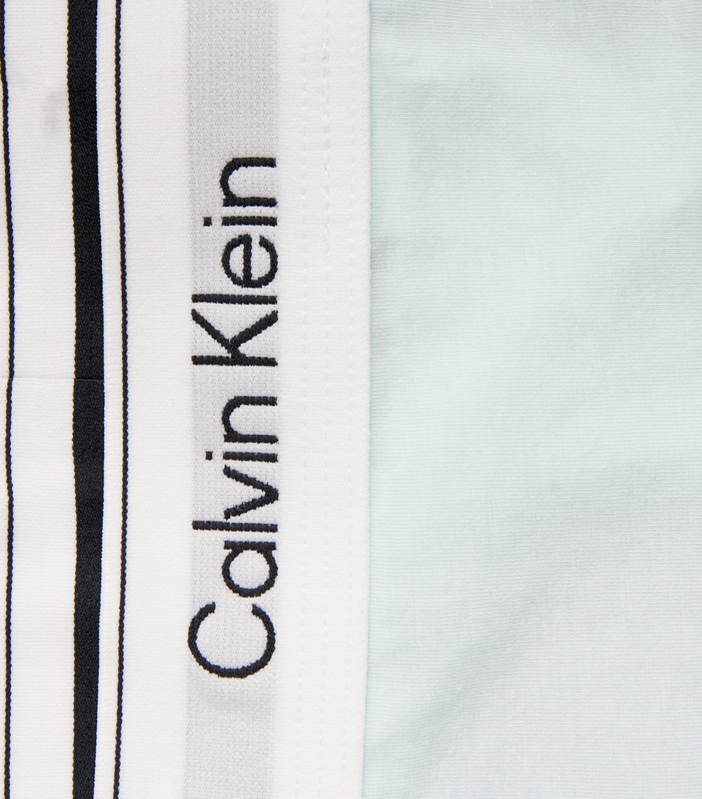 Calvin Klein Womens Cotton-Blend Icon Thong The Mint Image 4