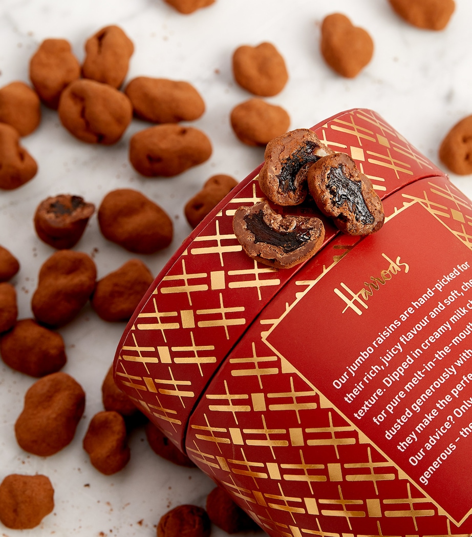 Cocoa-Dusted Jumbo Raisins (325g) NO COLOUR Image 4