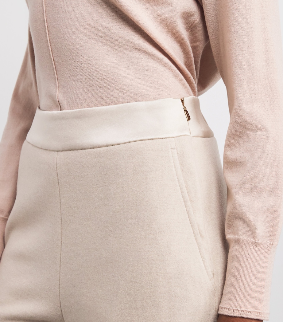 Cashmere-Wool Tessa Trousers N14 BEIGE-CHMPGNE Image 6