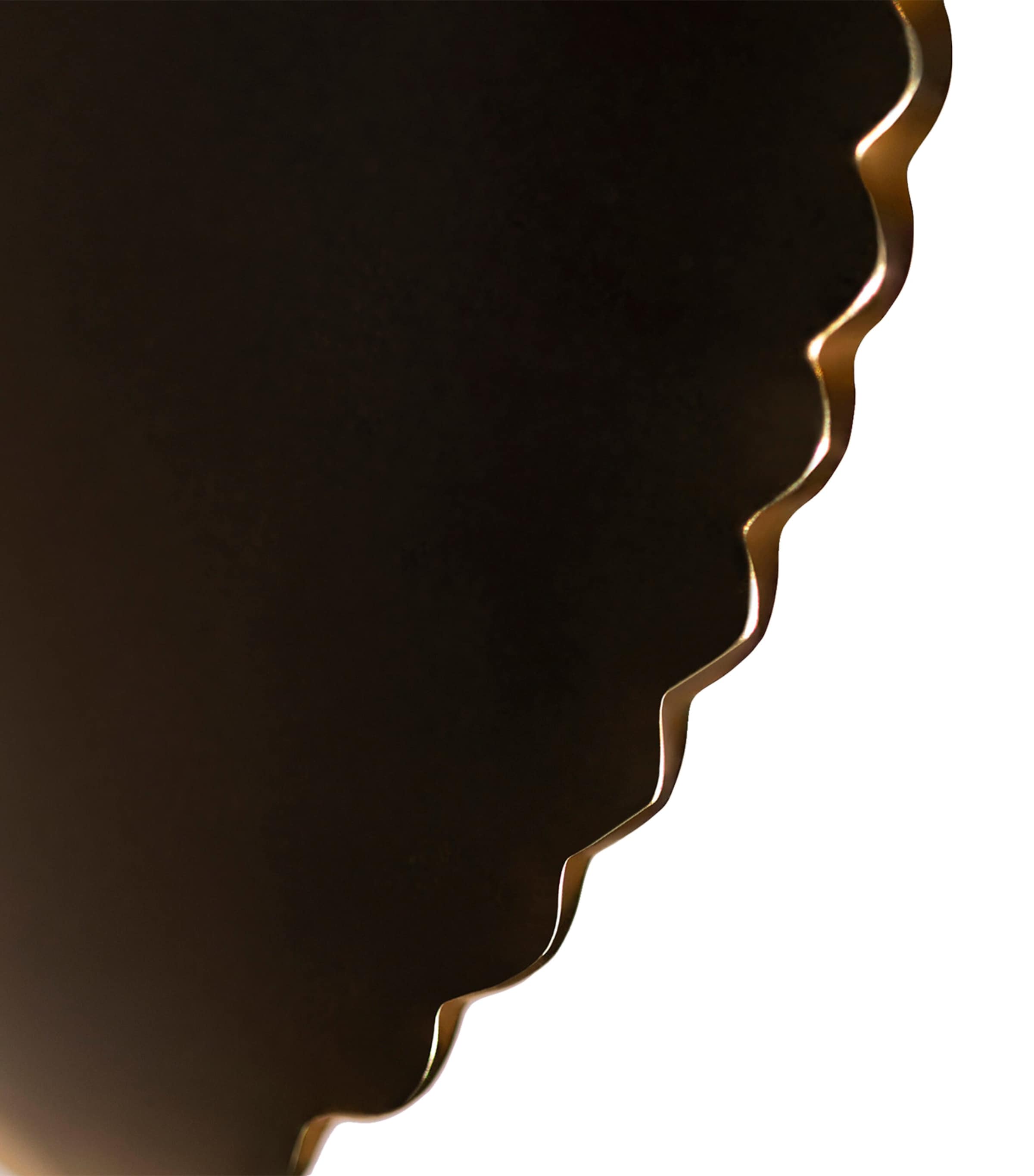 Gingko Gua Sha NO COLOUR Image 6