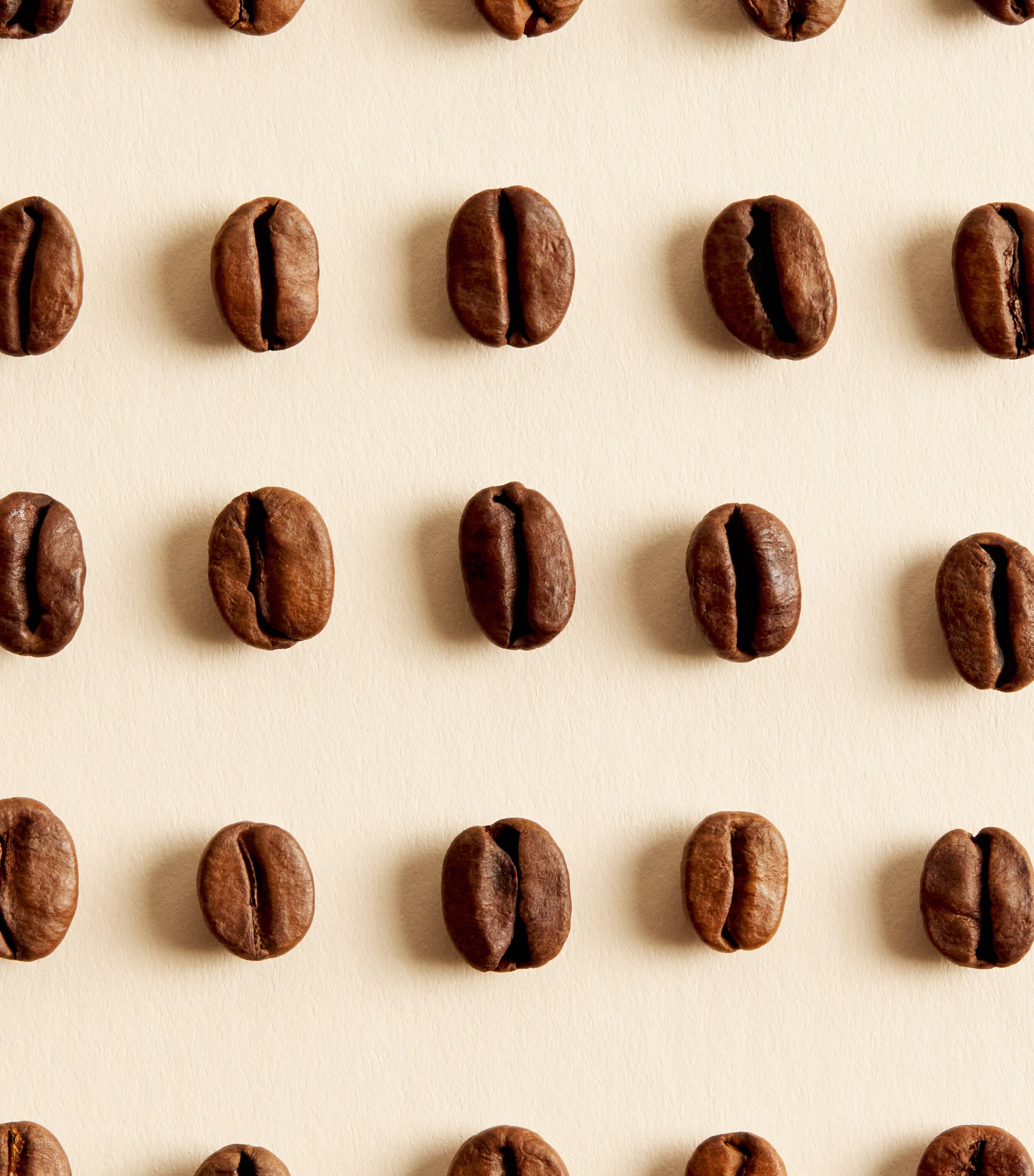 Harrods Continental Coffee Beans Tin (250g) Image 4