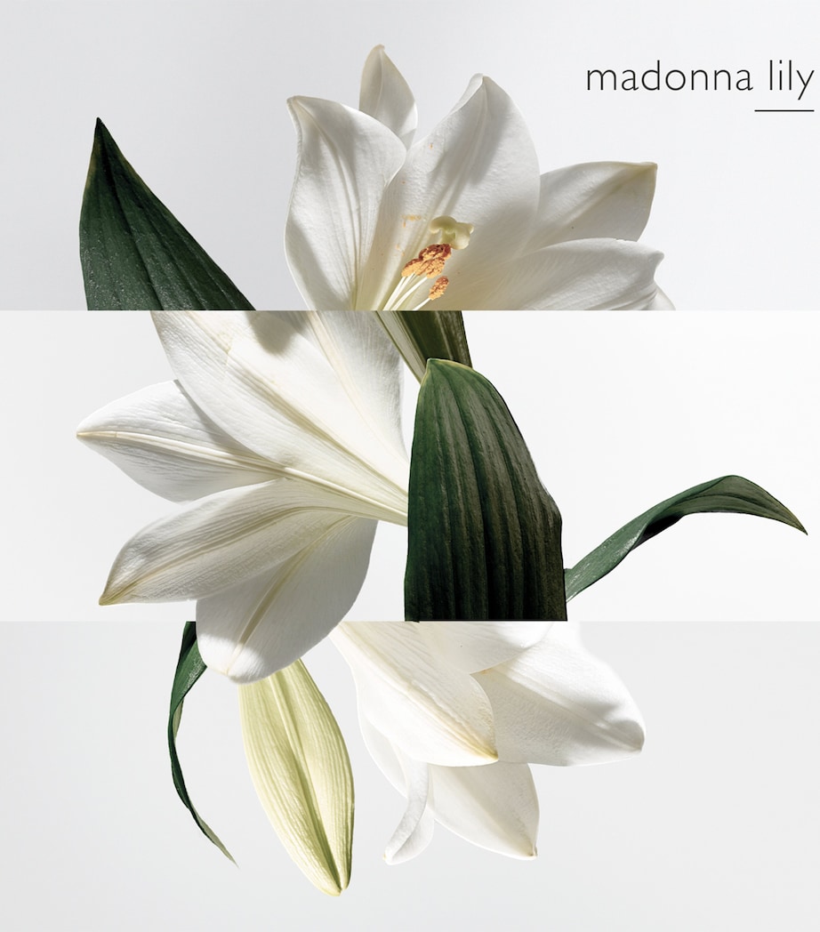 Un Jardin Sur La Lagune Eau de Toilette (100 ml) NO COLOUR Image 5