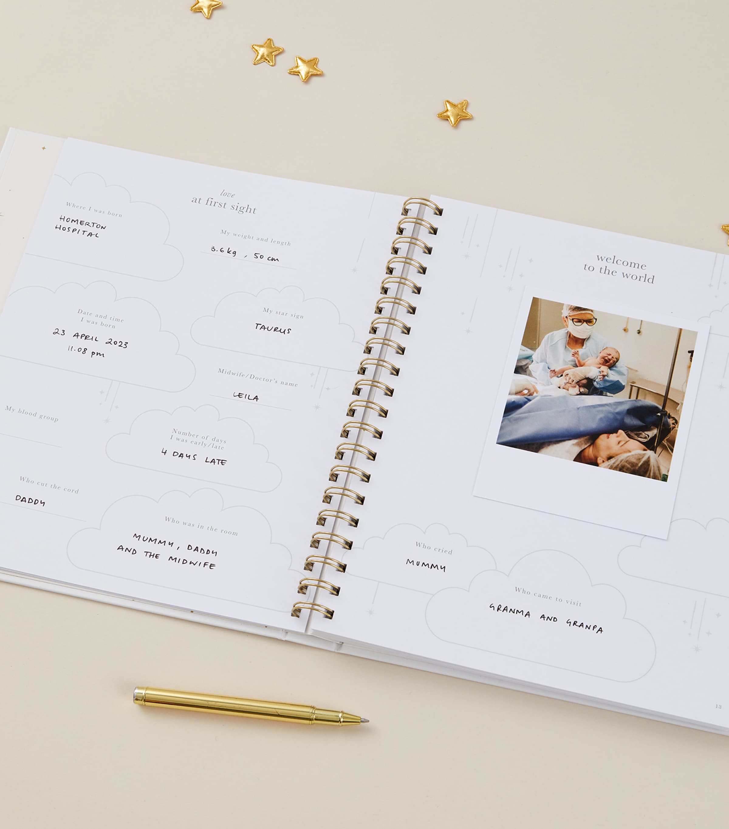 Safari Baby Memory Book BEIGE, GOLD Image 8