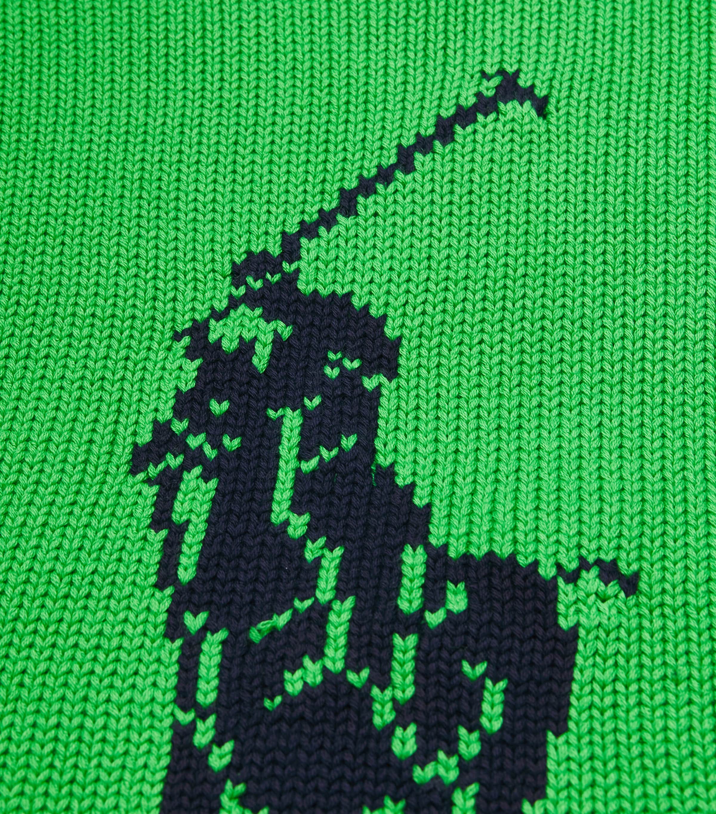 Polo Ralph Lauren Womens Cotton Big Pony Sweater Palm Green Image 6