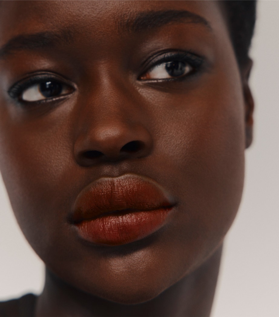 Trait d'Hermès Lip Colour Pencil 79 ROUGE ERABLE X3 Image 5