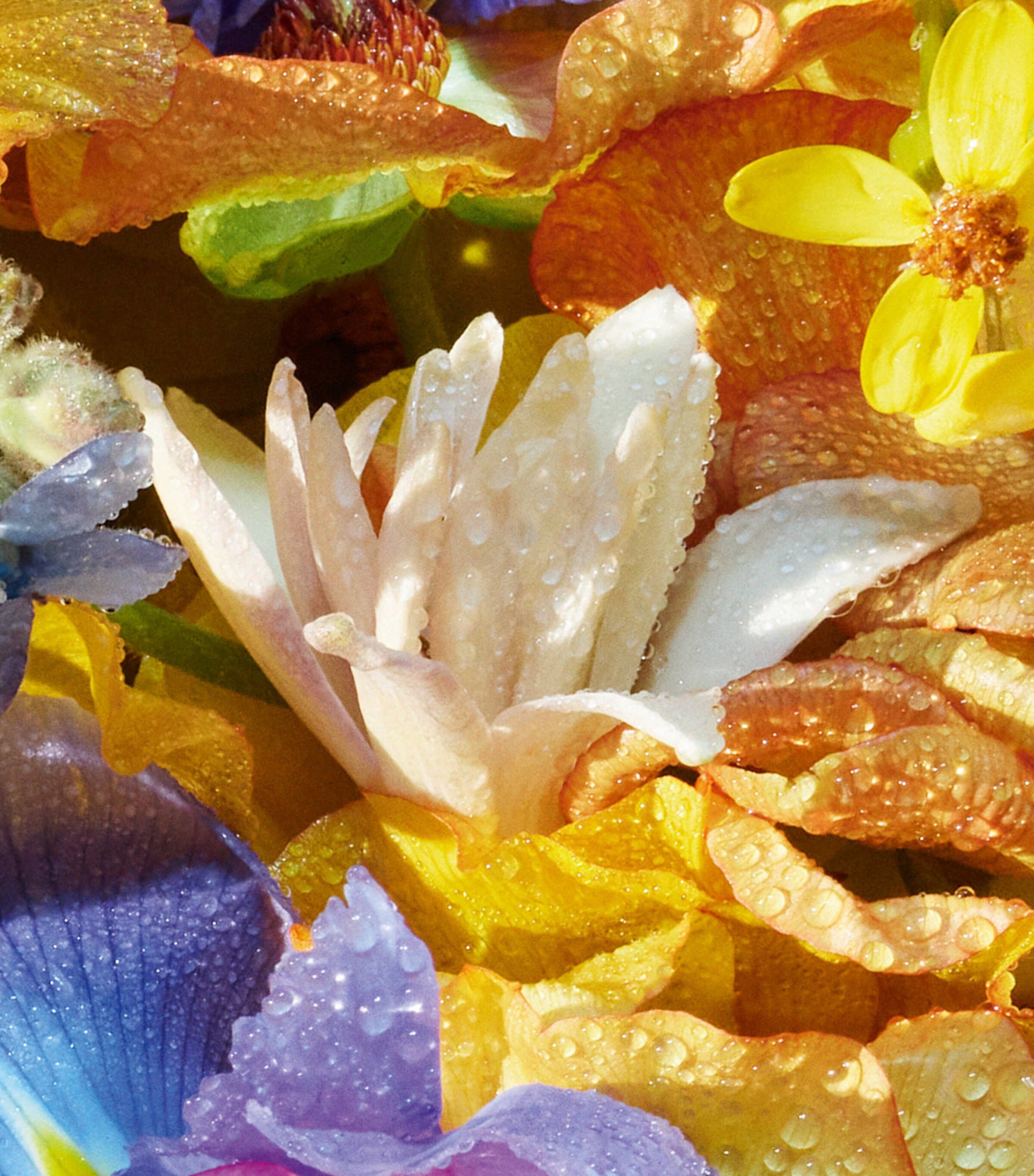 Aqua Allegoria Florabloom Hand Cream (50ml) NO COLOUR Image 4