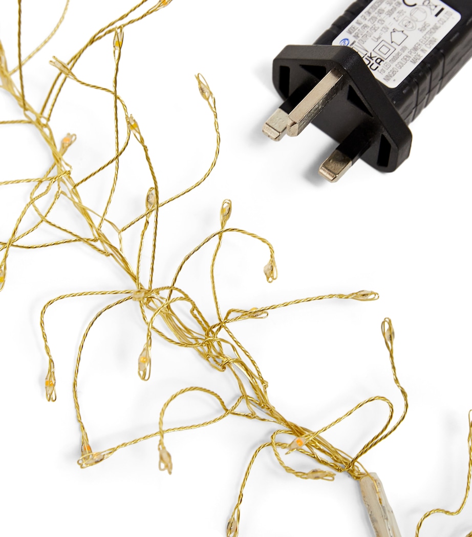 Cluster Twinkle Micro Wire Lights MULTI Image 3