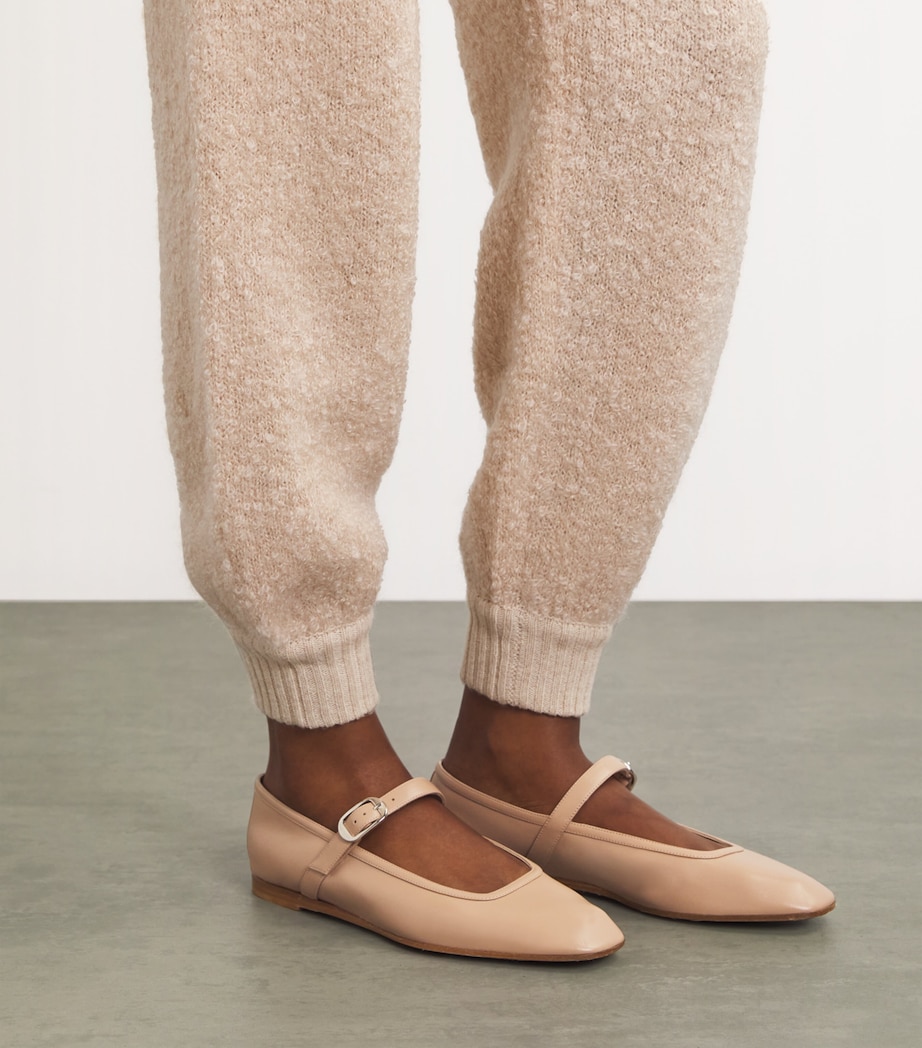 Leather Mary Jane Ballet Flats BEIGE Image 2