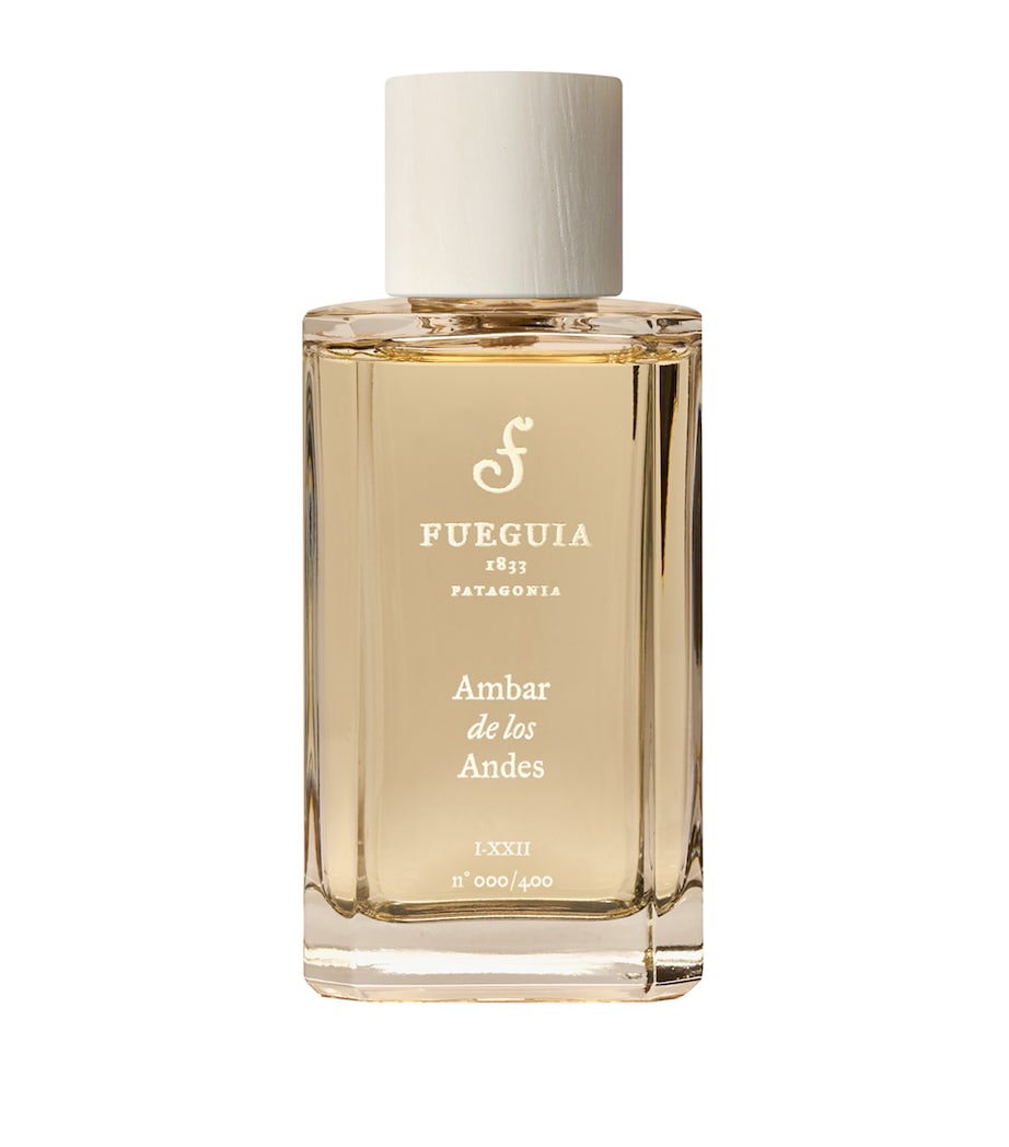 Fueguia 1833 Ambar de los Andes Perfume (100ml) Image 1