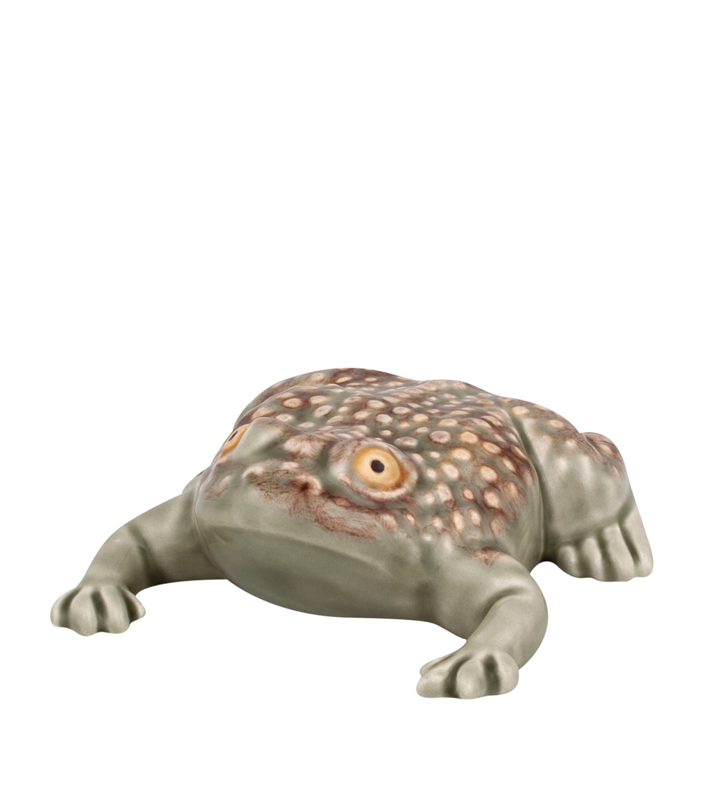 Large Toad GREEN Image 1