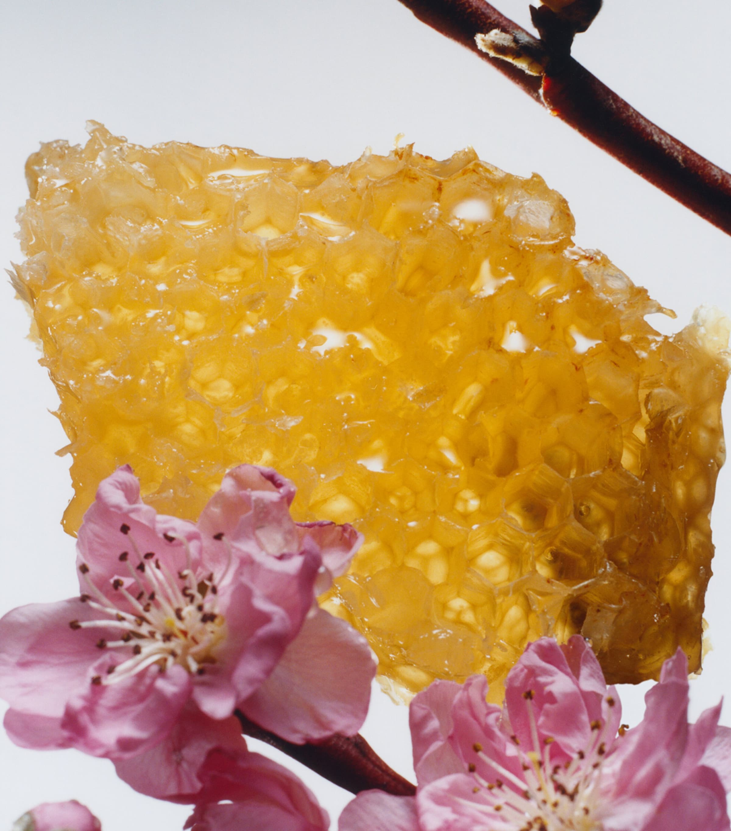 Nectarine Blossom & Honey Classic Candle (200g) NO COLOUR Image 3