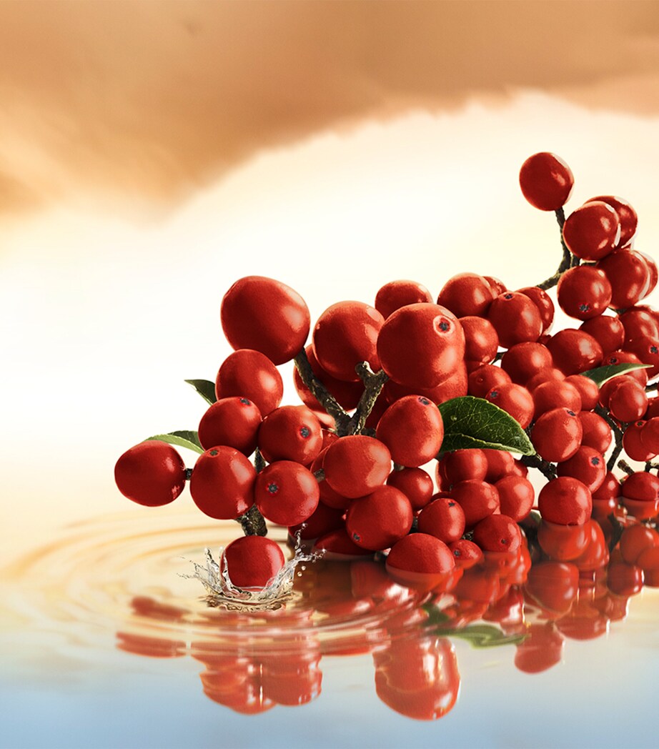 Estée Lauder Infinite Sky Eau de Parfum (40ml) Image 3