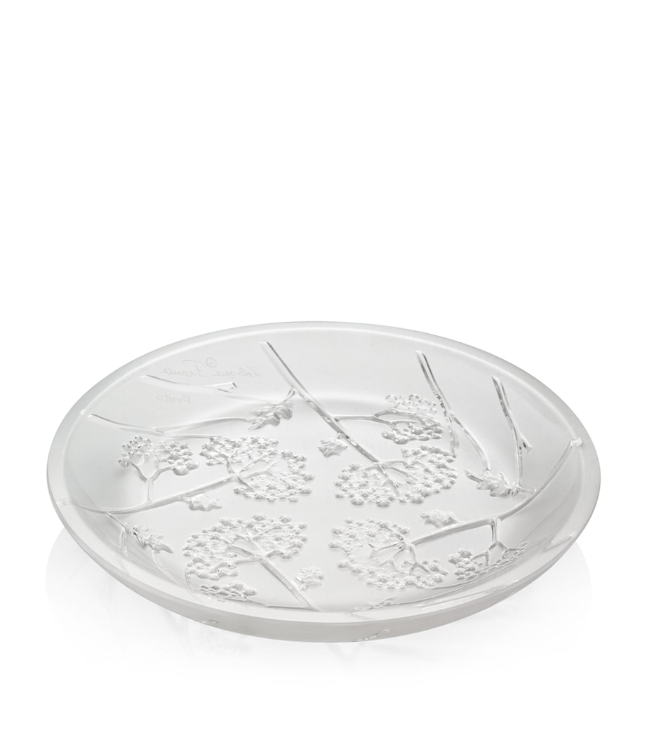Crystal Ombelles Flat Bowl (12cm) INCOLORE Image 1
