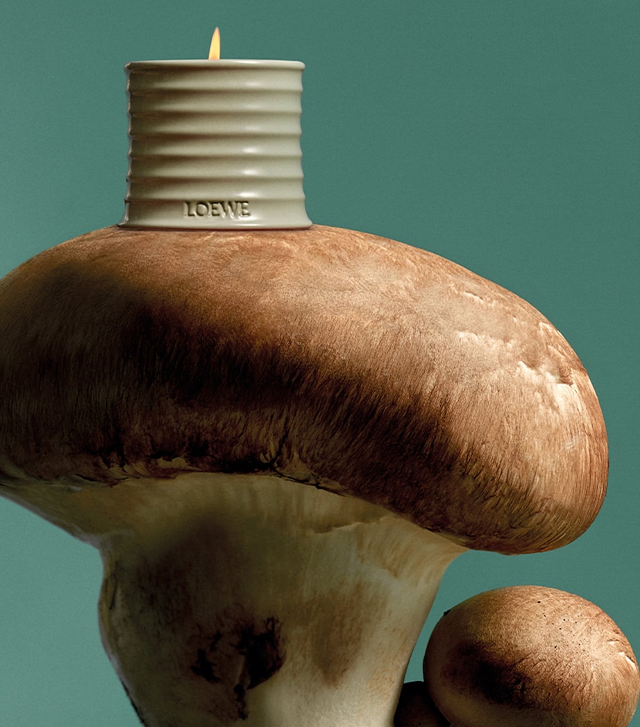 LOEWE Perfume Small Mushroom Scented Candle Image 3