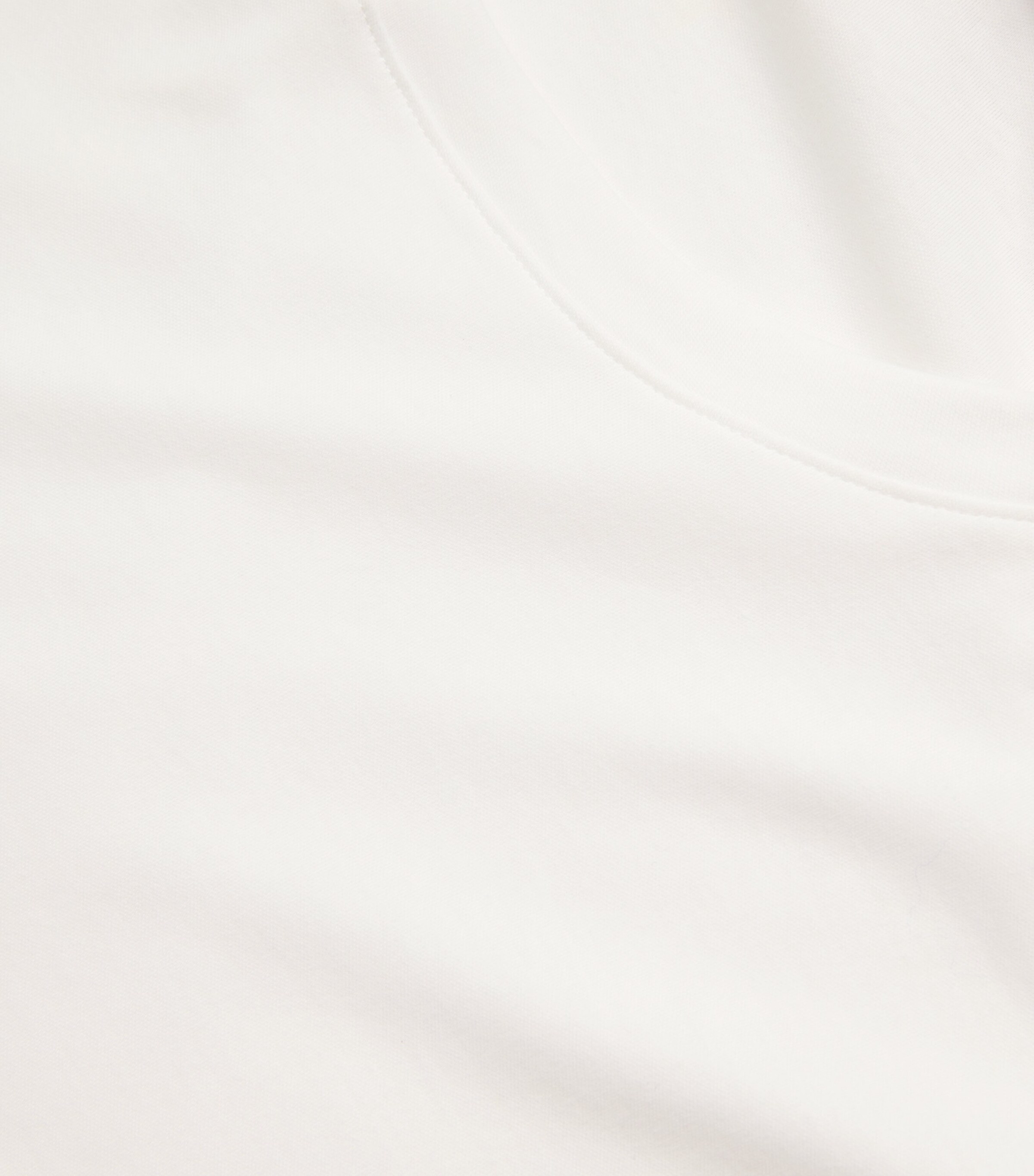 Sea Island Cotton T-Shirt 0101/WHITE Image 4