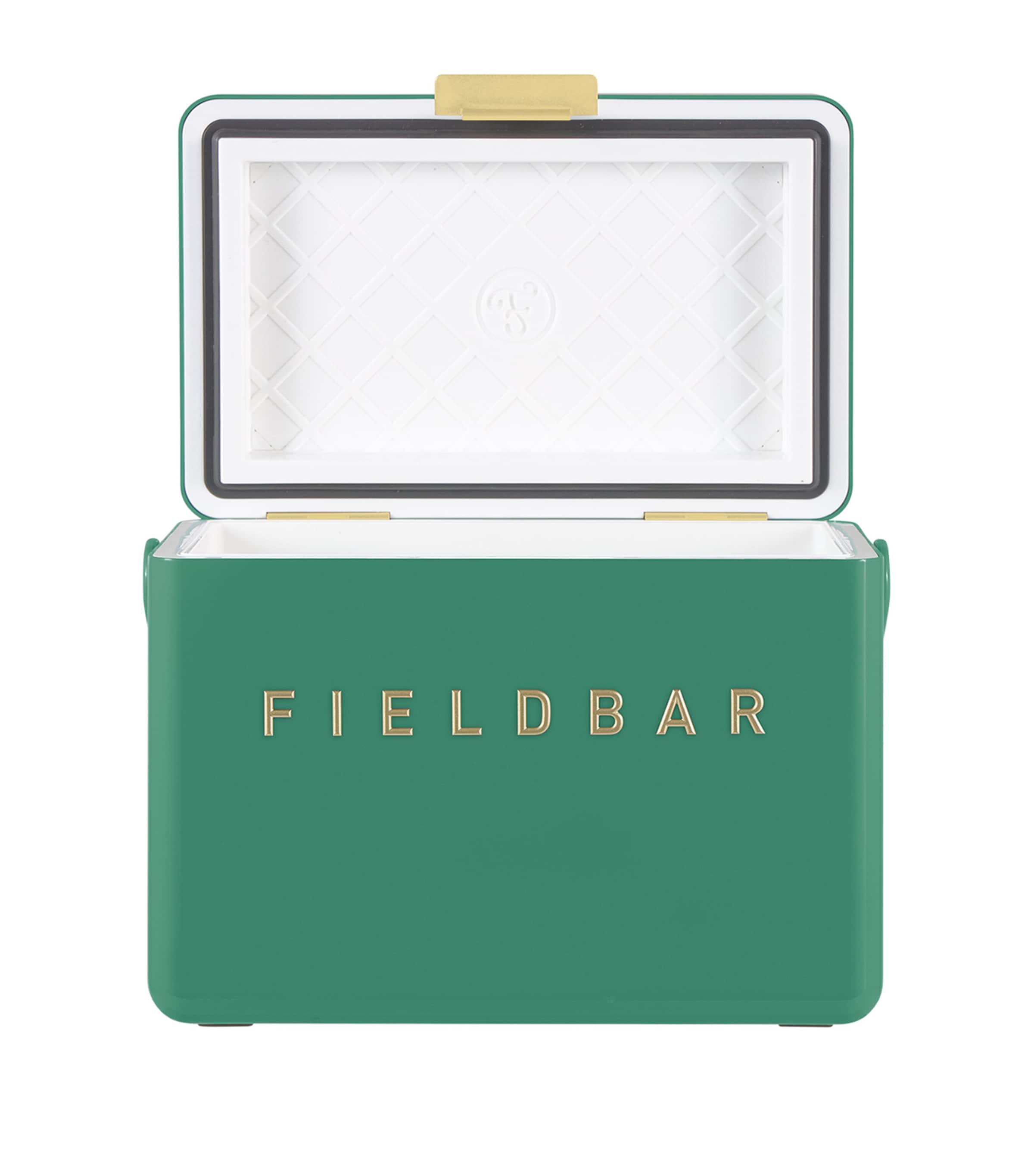 Mini Bar Cooler Box with Leather Sling (4L) GREEN Image 3