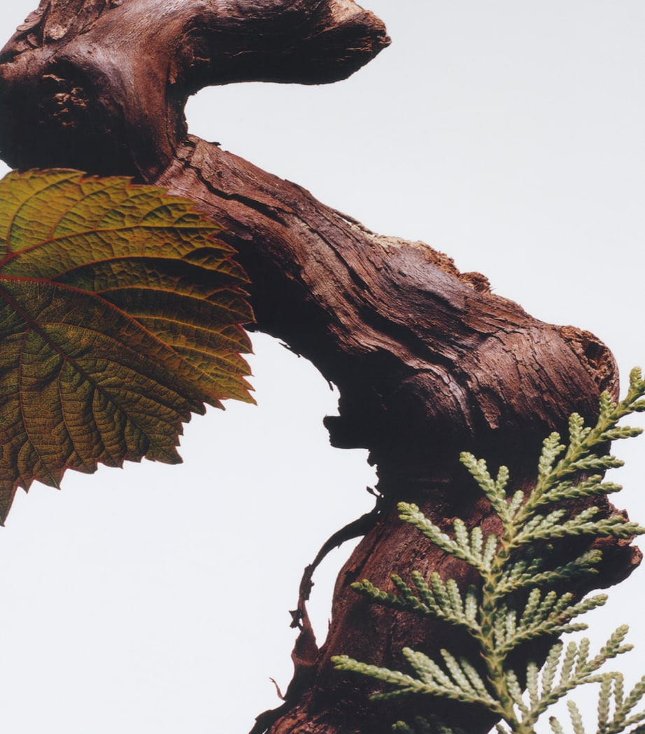 Cypress & Grapevine Cologne Intense (100ml) NO COLOUR Image 4