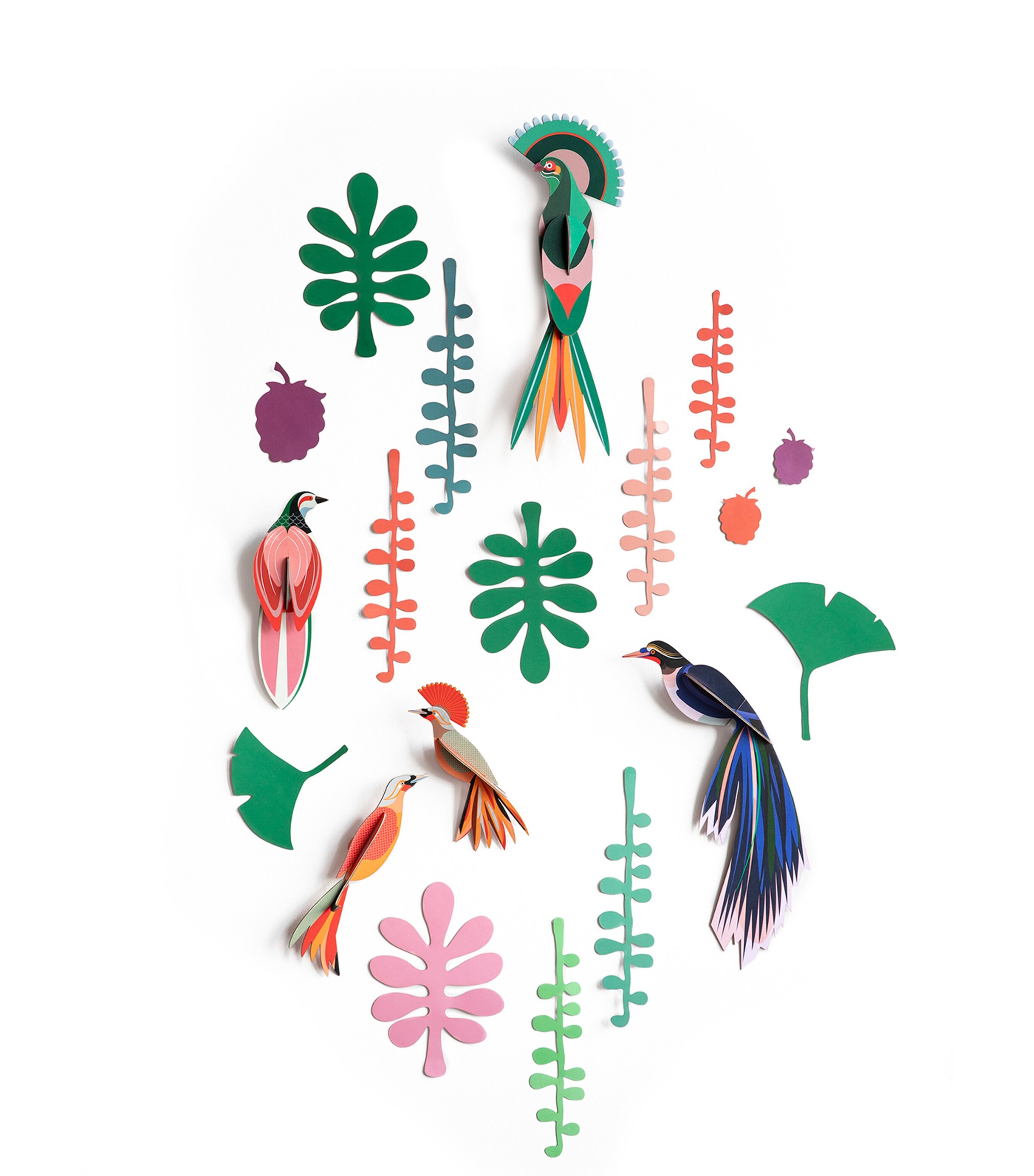 Bird Observer Kit MULTI Image 2