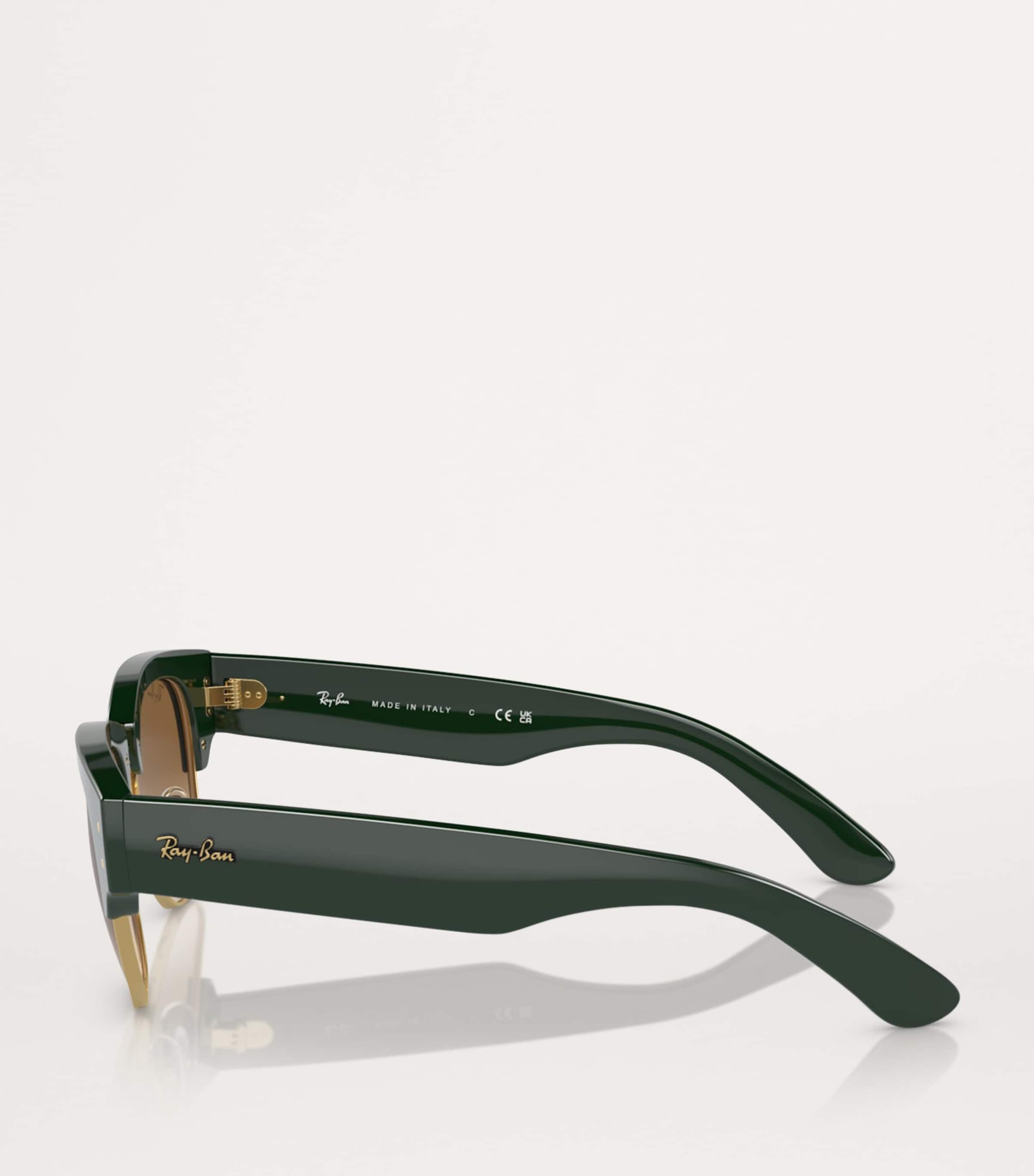 Ray-Ban Propionate 0RB0316S Sunglasses Image 3