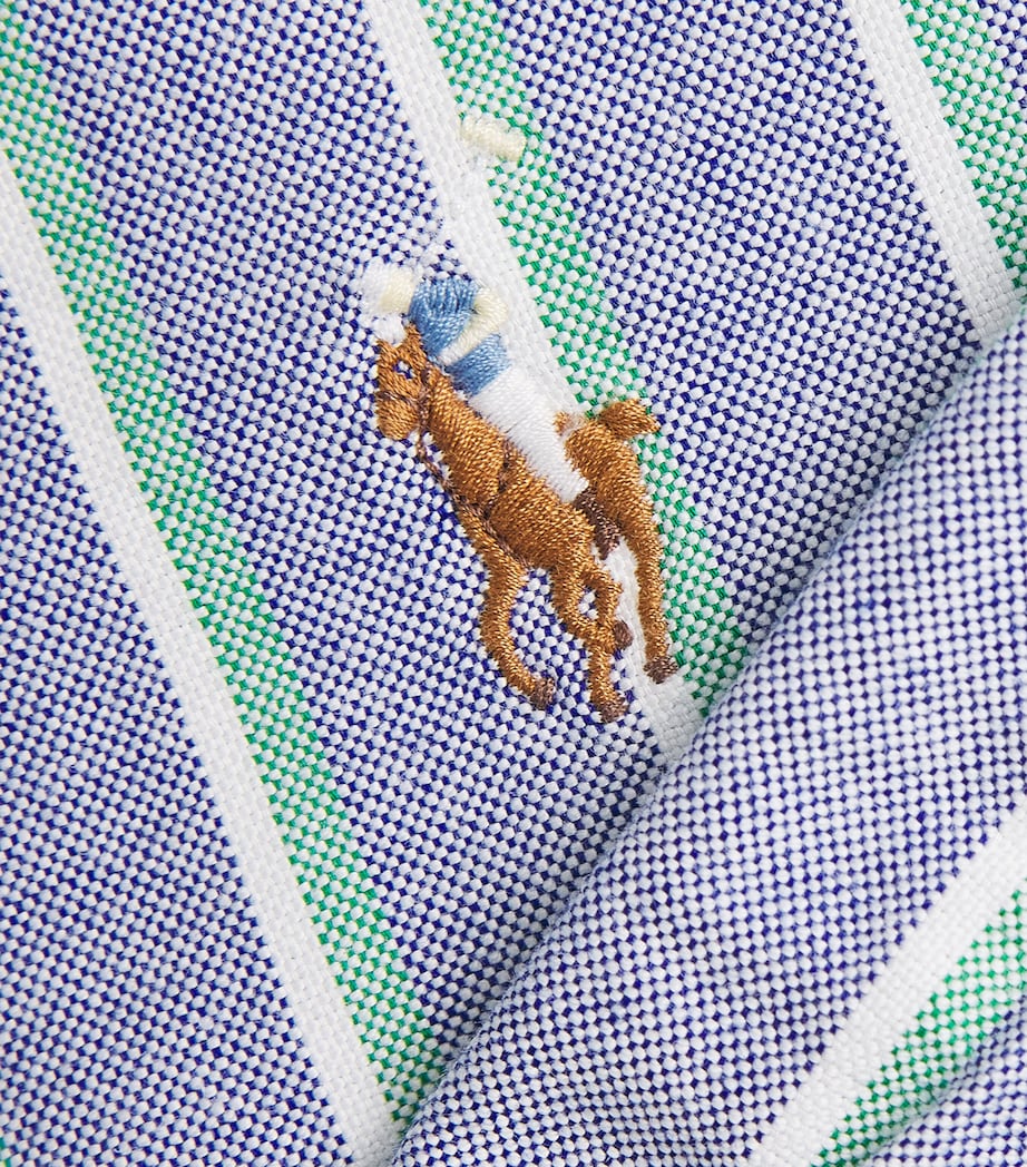 Cotton Stripe Oxford Shirt 259D NAVY GREEN MLTI Image 5