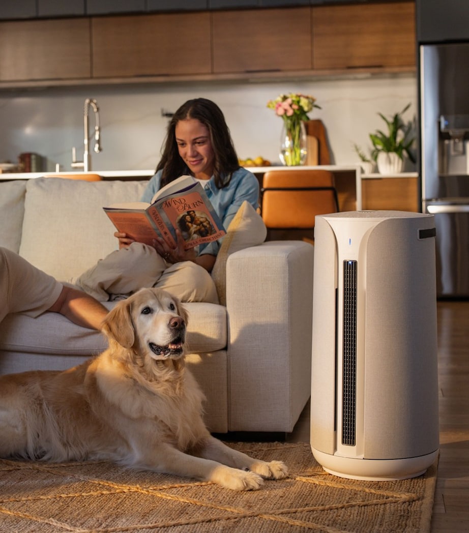 ComfortPure 3-in-1 T20i Air Purifier WHITE Image 5