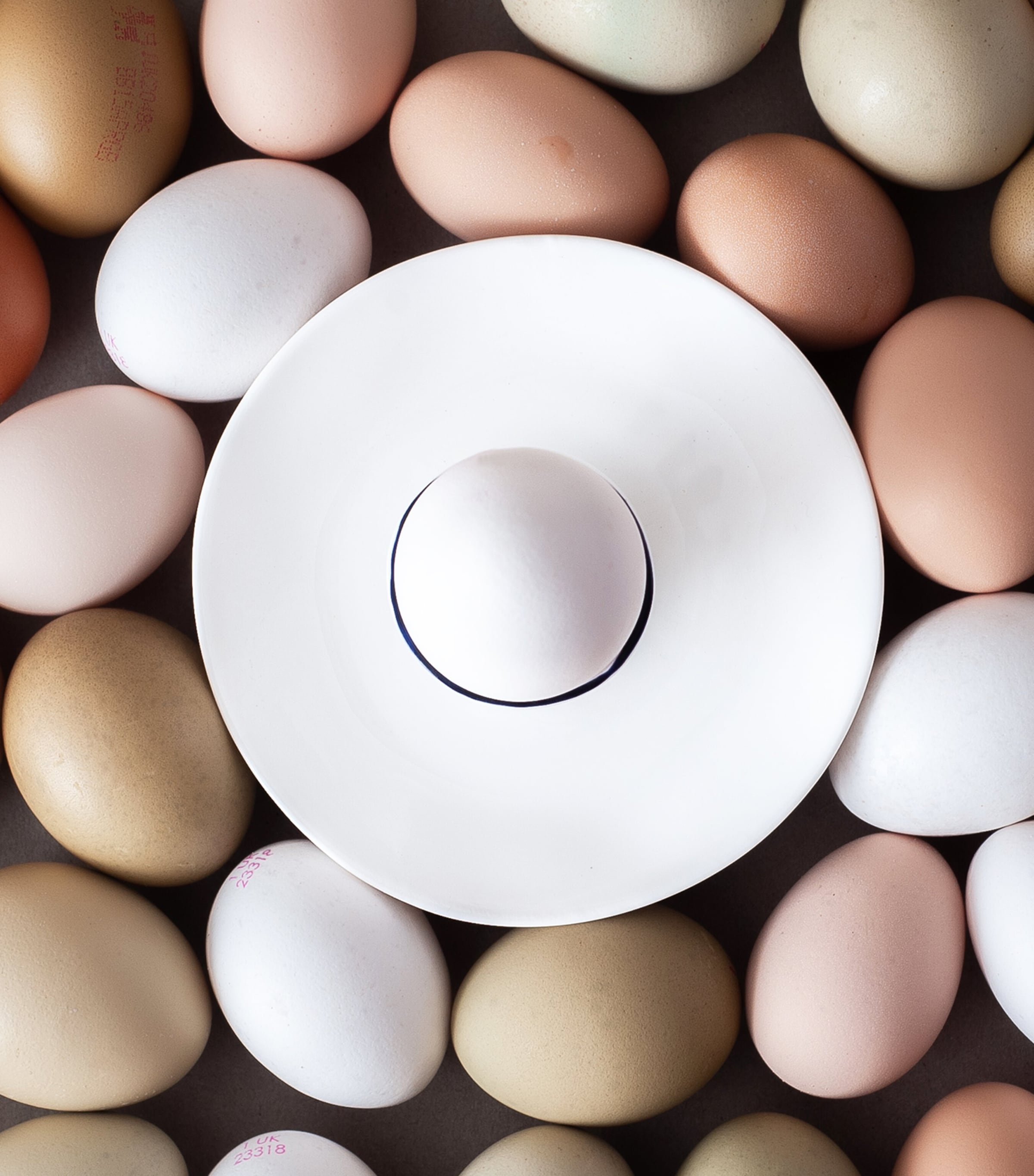 Cobalt Egg Cup COBALT (BLUE) Image 4