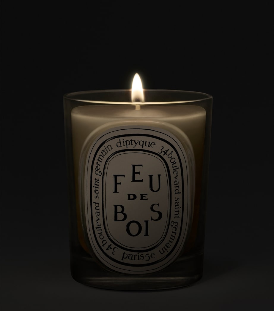 Diptyque Feu de Bois Candle (190g) Image 2