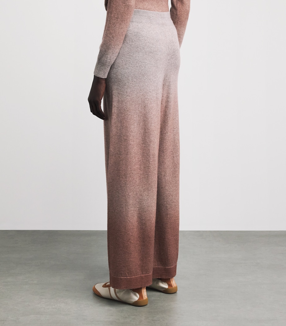 Colombo Womens Cashmere Wide-Leg Trousers Shaded Brick Image 5