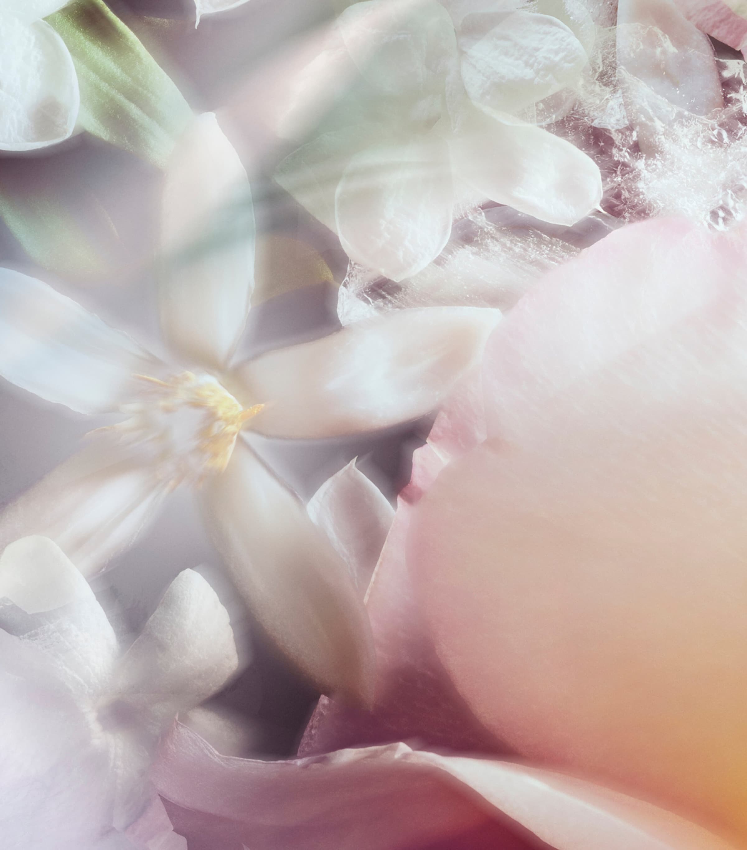 CHANEL LES EXTRAITS DE CHANEL N°5 Extrait de Parfum (30ml) Image 3