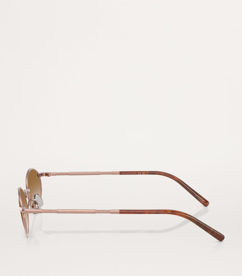 Titanium Sunglasses 5007GQ Image 3