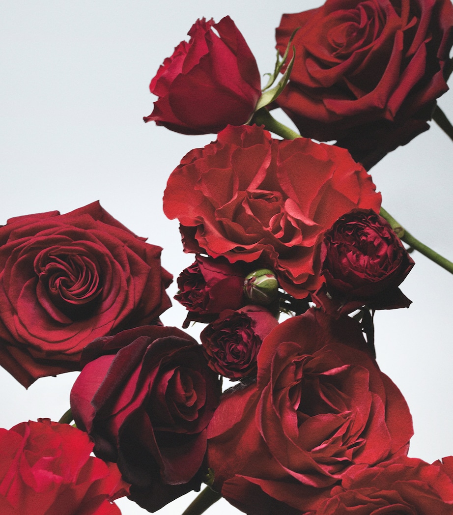 Red Roses Bath Oil (250ml) NO COLOUR Image 3