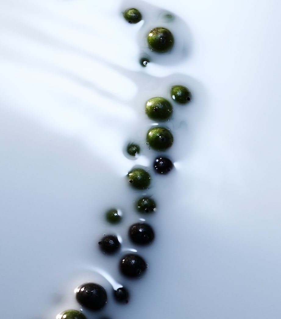 Blanche Absolu de Parfum (50ml) NO COLOUR Image 4